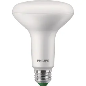 581686 PHILIPS Ultra Efficient Led Floodlight Light