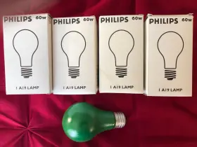 814930 PHILIPS Light Coated Bulb