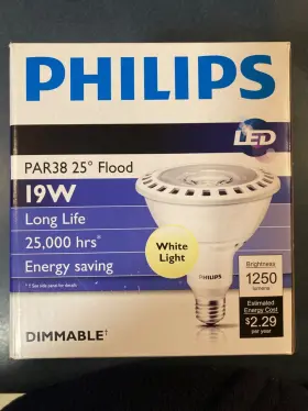 9290002470 PHILIPS Led Floodlight Dimmable