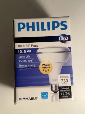 9290002544 PHILIPS Led Dimmable Floodlight Bulb