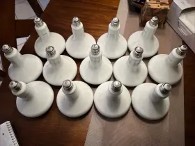 9290011558A PHILIPS Dimmable Led Bulb