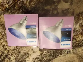 9290013065 PHILIPS Led Light