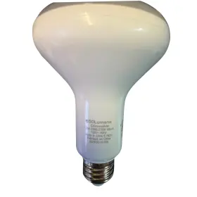 9290018703 PHILIPS Dimmable Led Flood Light Bulb