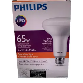 9290018703B PHILIPS Glow Led Del Dimmable Floodlight