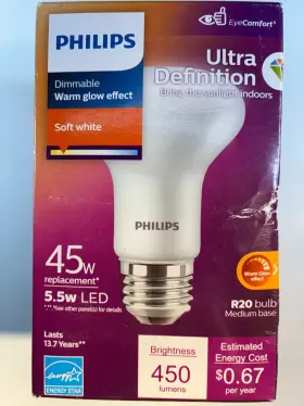 9290031317 PHILIPS Mini Led Floodlight Bulb Wetrated Dimmable