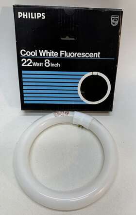 FC8T9-CW PHILIPS Fluorescent Circline Lamp Light Bulb