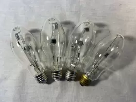 MH70 PHILIPS Bulbs