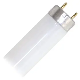 807154351794 PROLUME Halco