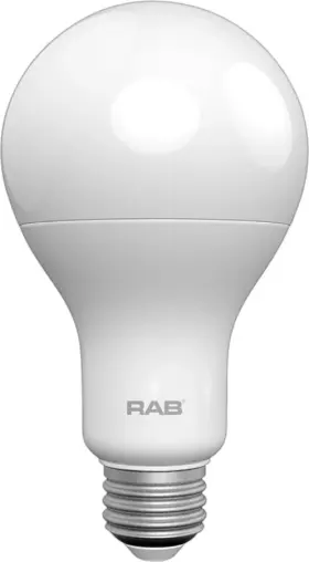 019813748139 RAB Led Bulb Dimmable Energy Star Pack