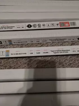 019813834221 RAB Led Tube Hybrid #3