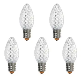 766972954597 RAINMIN Pack Led Christmas Lights Bulbs Holiday