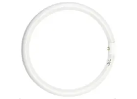 ASD2EDS21 RESISPA Cw Round Fluorescent Light Bulb Led