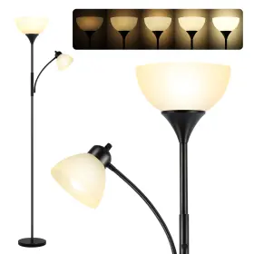 B0BVG1P5KT RISLG Dimmable Floor Lamp Gooseneck Stepless Led