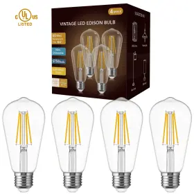 673926876778 SANSI Yansun Led Edison Bulb