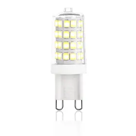 812449033552 SANSI Light Society Set Vita #3