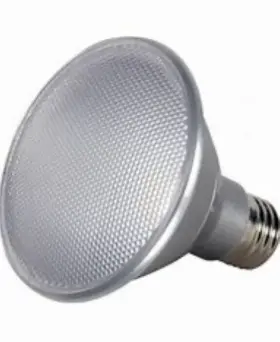 S29418 SATCO Neck Led Light Bulbs