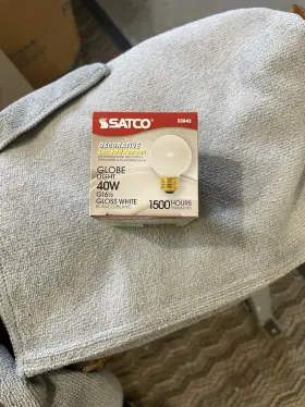 S3842 SATCO Globe Light