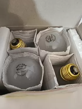 S3880 SATCO Rough Service Base Frost Light Bulbs #2