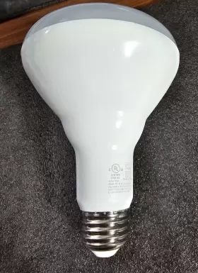 S9022 SATCO Led Dimmable Bulb Equiv #2