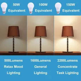 704619837056 SCHEINENDA Led Light Bulbs Reading #3