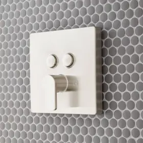 SHHB8040ZBN SIMPLE Hibiscus Select Pressure Balance Shower