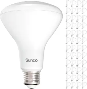 744790579819 SUNCO LIGHTING Pack Led Bulbs