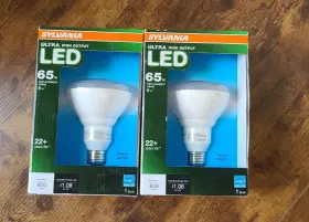 046135791697 SYLVANIA Led Floodlight Bulb Natural