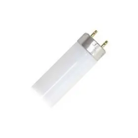 21767 SYLVANIA Xp Eco Straight Fluorescent Tube Light Bulb