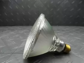 421438 SYLVANIA Light Bulb #2