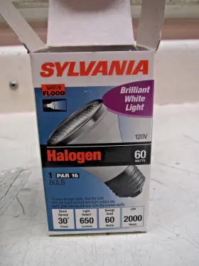 59030 SYLVANIA Lighting Capsylite Par Floodlight #2
