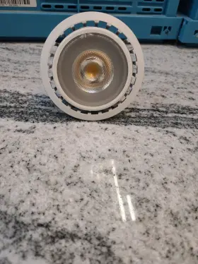 PAR30LN SYLVANIA Feit Electric Led Cct
