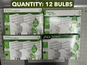 801019 LIGHT Bulb Pack Springlight Twist Cfl Fluorescent
