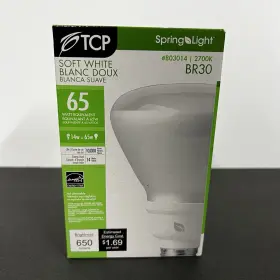 803014 LIGHT Flood Bulb