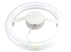 L13T9N5041K LED Circline Bulb