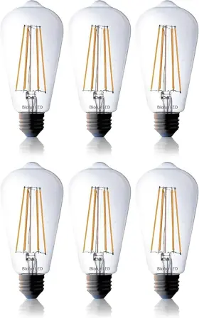 ST64-3K800-18 TITCH INDUSTRIES INC Bioluz Dimmable Edison Led