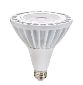LP38-29W-950-FL-UNV TOPAZ Led Floodlight Bulb