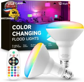 120VBR3009W12E26 UNILAMP Changing Light Bulb Led Flood