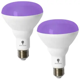 Unique Bulbs 432131992931 Br30 Black Light Bulb 2 Pack Led 13w 100w Equivalent Br30