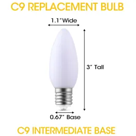709930546489 VISTERLITE Ceramic Led Christmas Light Bulbs #2