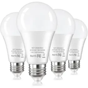 LED-A19-13 WEDDEG Light Bulb Bright