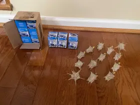 030721037474 WESTINGHOUSE Decorlite Star Light Bulbs Sputnik