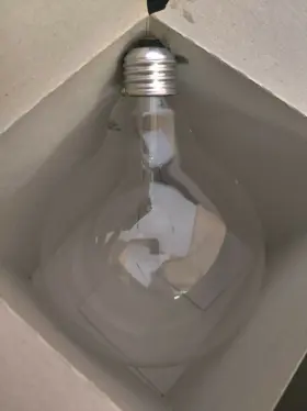 03101 WESTINGHOUSE Globe Light Bulb Base #3