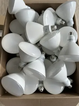 0316300 WESTINGHOUSE Led Dimmable Bulbs