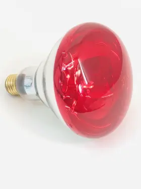 0397948 WESTINGHOUSE Infrared Heat Lamp Light Bulbs Base #2