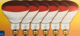 0397948 WESTINGHOUSE Infrared Heat Lamp Light Bulbs Base