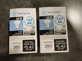 04229 WESTINGHOUSE Flood Light Bulb