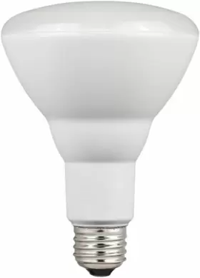 0514820 WESTINGHOUSE Lighting Flood Dimmable Led