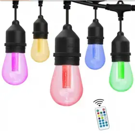 193023025584 WESTINGHOUSE Bulb Changing Light