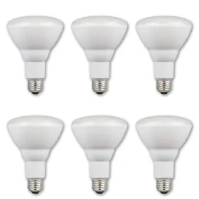 5220020 WESTINGHOUSE Flood Dimmable