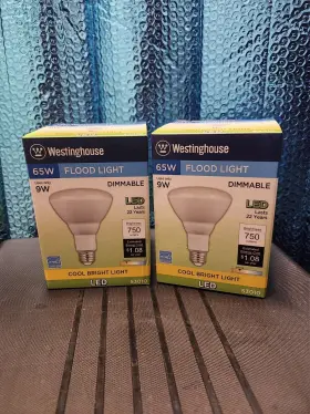 5305500 WESTINGHOUSE Led Bulbs Dimmable Base Flood Lights